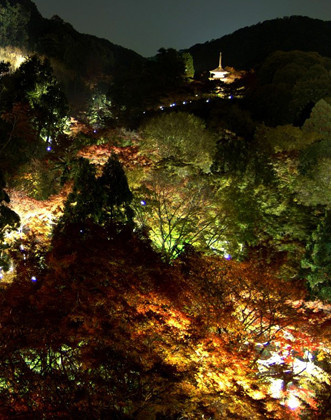 紅葉の京都観光バスツアーイメージ3