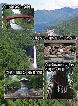 伊東園　白樺湖ビューホテル