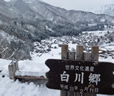 高山の朝市と白川郷ツアー