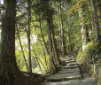 戸隠神社ツアー