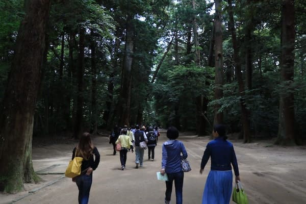鹿島神宮の境内の森