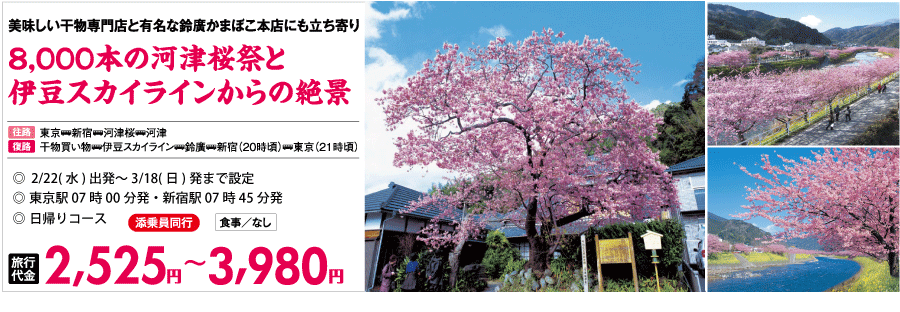 河津桜バスツアーのイメージ
