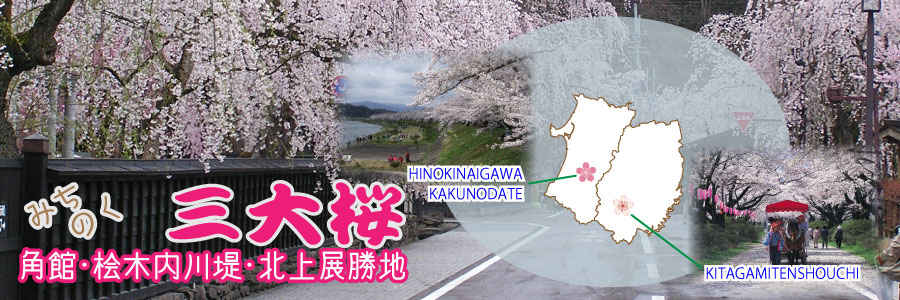 角館・北上展勝地・桧木内川堤の三大桜バスツアーのイメージ