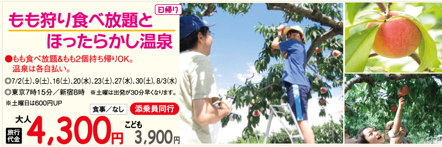 もも狩りバスツアーのイメージ
