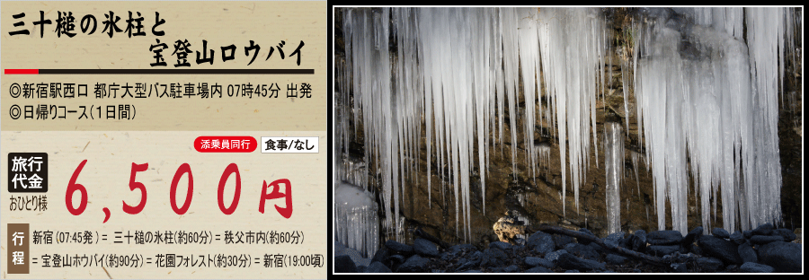 三十槌の氷柱と宝登山ロウバイバスツアーのイメージ