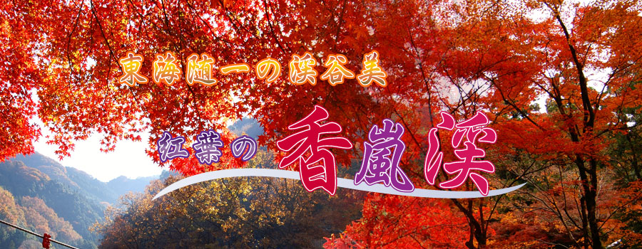 紅葉の香嵐渓と舘山寺温泉バスツアーのイメージ