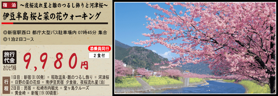 伊豆半島　桜と菜の花ウォーキング（添乗員同行/ガイド付き）バスツアーのイメージ