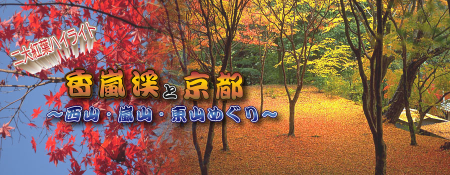 紅葉の京都観光バスツアーイメージ1
