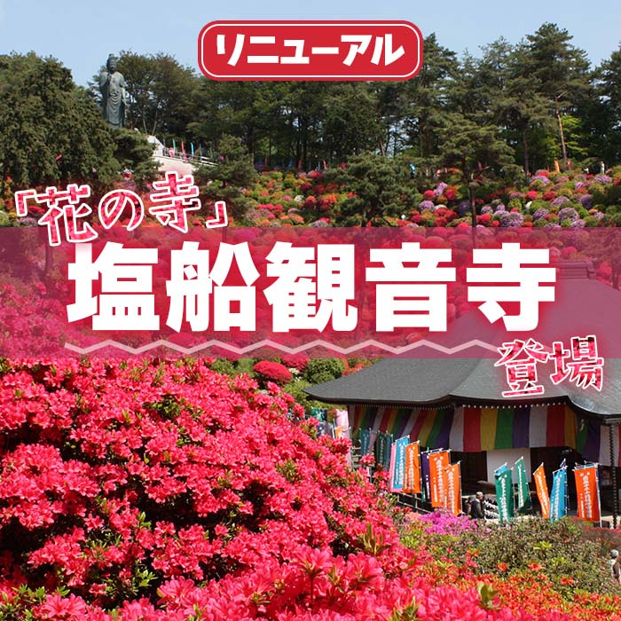 [リニューアル]芝桜ツアーがリニューアルし、塩船観音寺が初登場！美しいつつじの世界へ