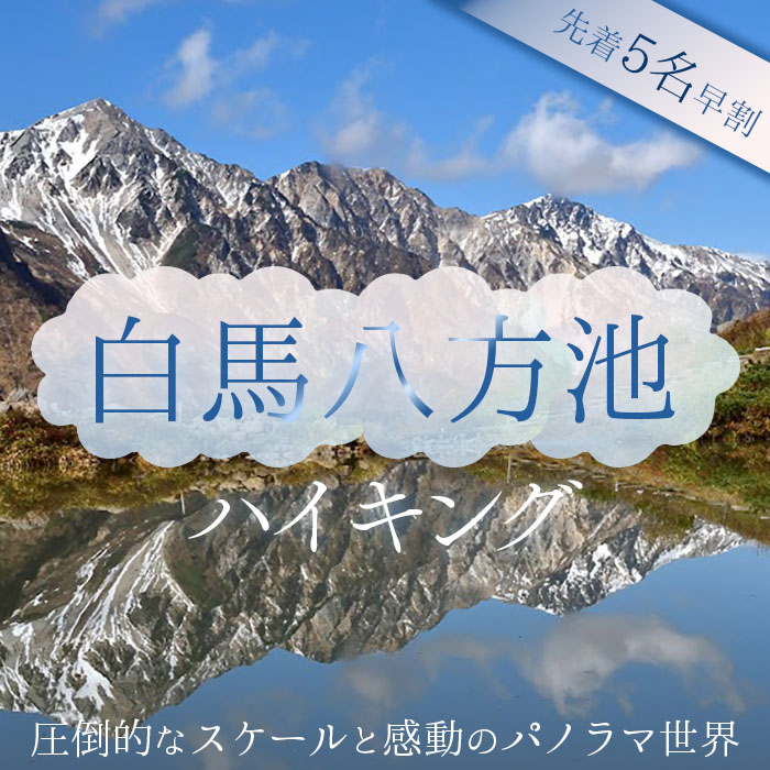[先着5名早割] 白馬八方池ハイキング