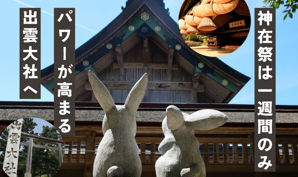 [1週間限定] 神在祭で神々が集う出雲大社