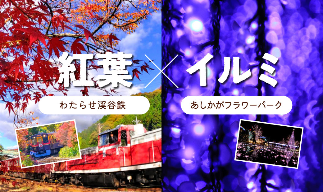 予約必須の人気トロッコ列車で紅葉観賞