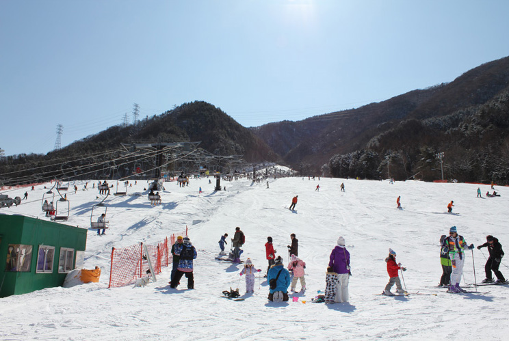 カムイみさかスキー場 オススメ