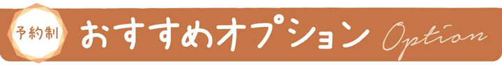 おすすめオプション