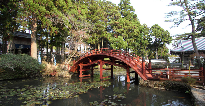 伊勢神宮奉納花火の画像