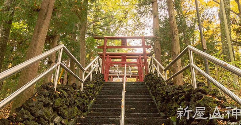 新屋山神社ツアーの画像