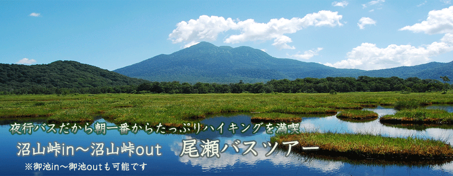夜発日帰り　尾瀬沼散策バスツアー