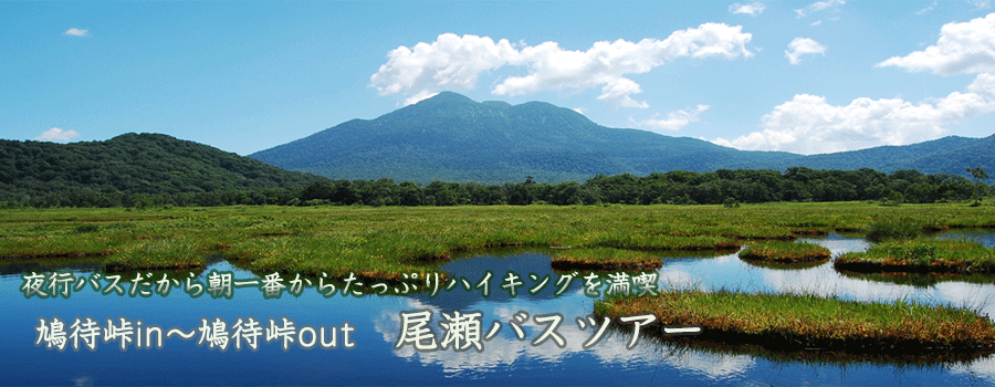 夜発 尾瀬ヶ原ハイキングバスツアー