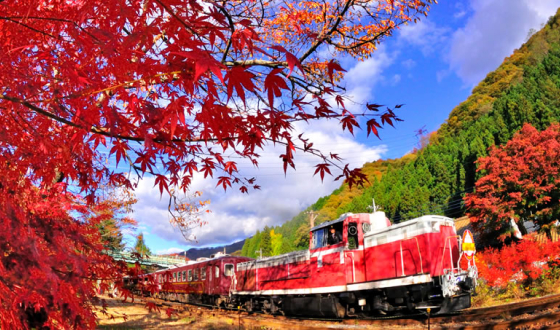 わたらせ渓谷と日光ツアー