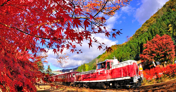 紅葉のわたらせ渓谷とあしかがイルミネーションバスツアー