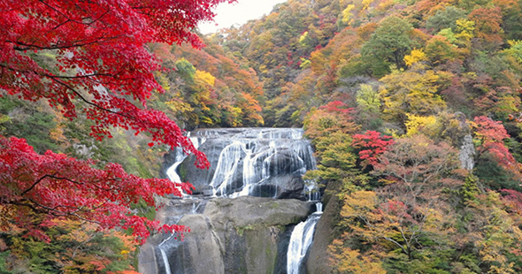袋田の滝と花貫渓谷の紅葉ツアー