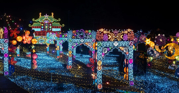 体験型イルミ伊豆高原「グランイルミ」と修善寺散策