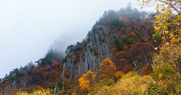 秋山郷と八海山の紅葉登山 温泉宿泊バスツアー