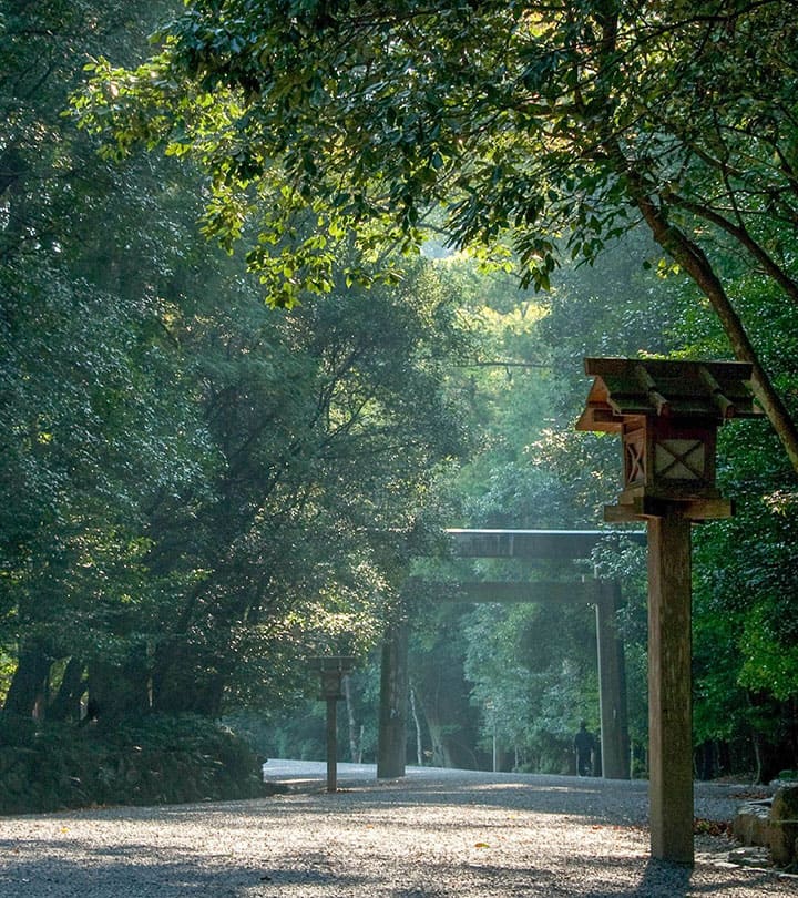 日帰りバスツアー特集 格安 四季の旅バスツアー