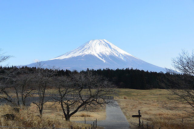 一日で 富士山 浅間神社五社巡り 国内の観光名所 観光地 スポット情報 四季の旅シキタビブログ
