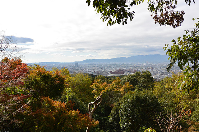 京都の街を一望する