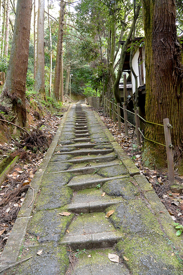 清明の滝から登りの厳しいコースへ