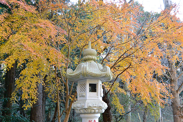 香取神宮・紅葉