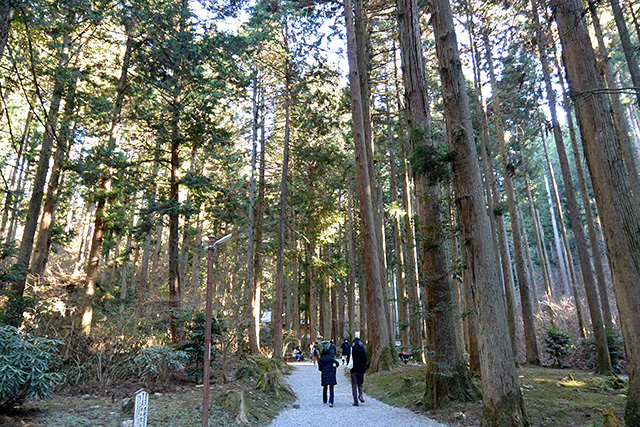 御岩神社・杉並木