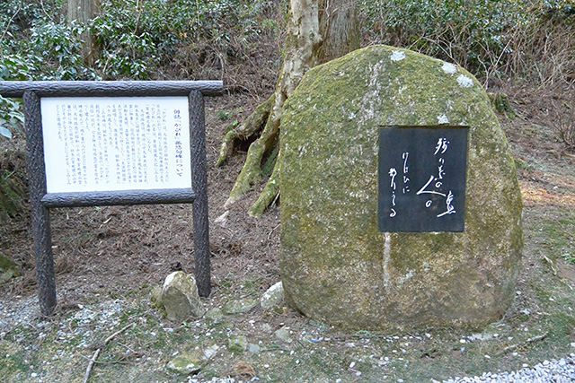 残り葉の　人のけはひに　散りかかる