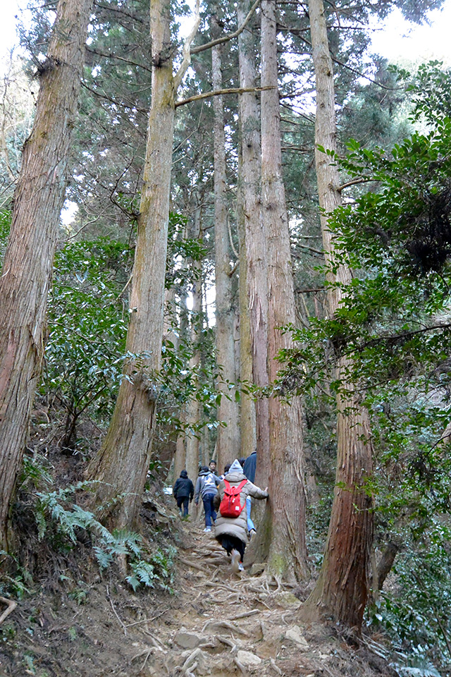 御岩神社・表参道