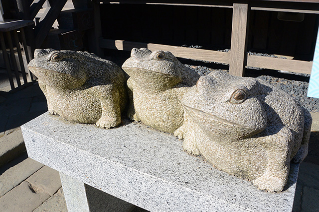 大洗磯前神社・ぶじかえる