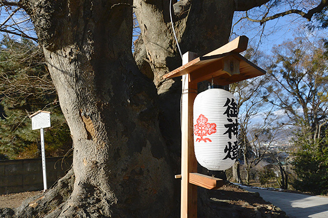 諏訪大社上社・神紋の提灯