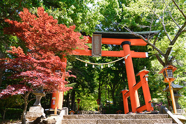 新倉富士浅間神社・鳥居