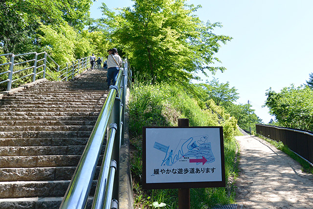 咲くや姫階段と遊歩道