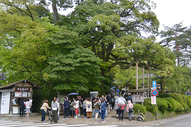 兼六園「桂坂口」