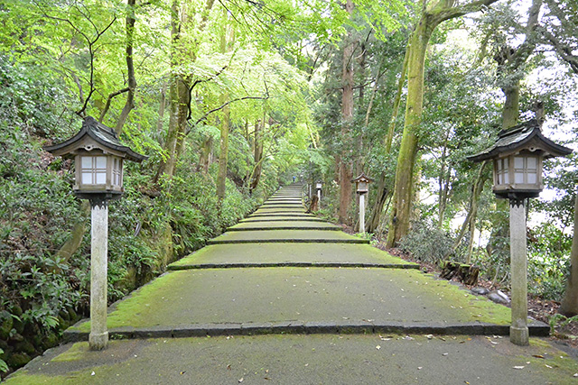 白山比咩神社・表参道