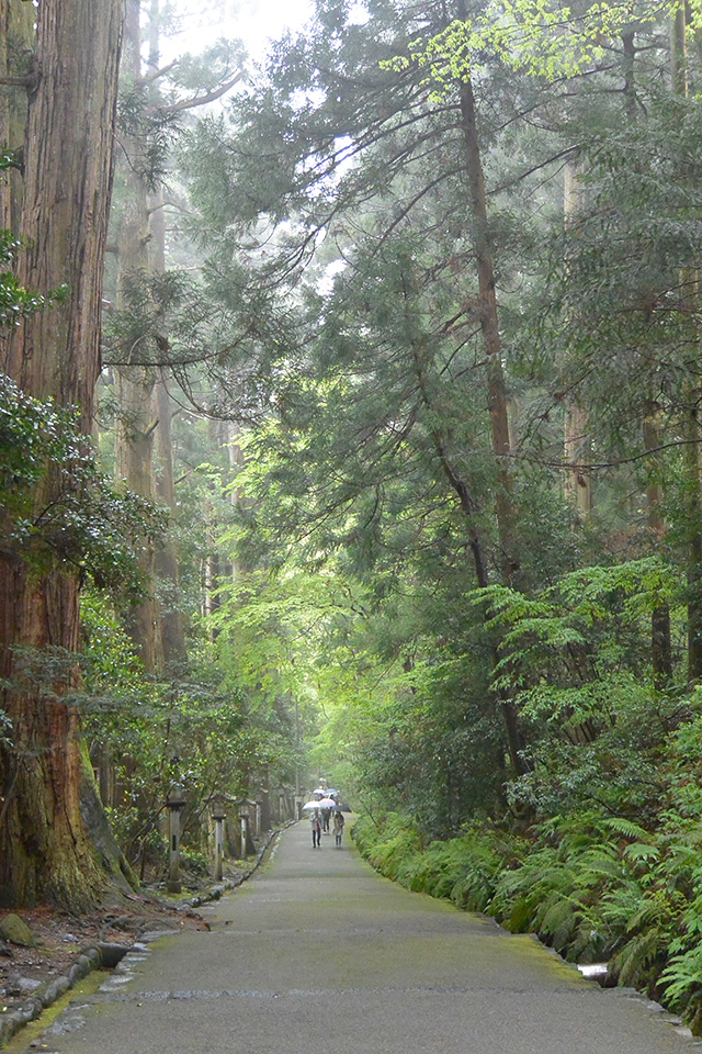 二の鳥居から表参道を振り返る