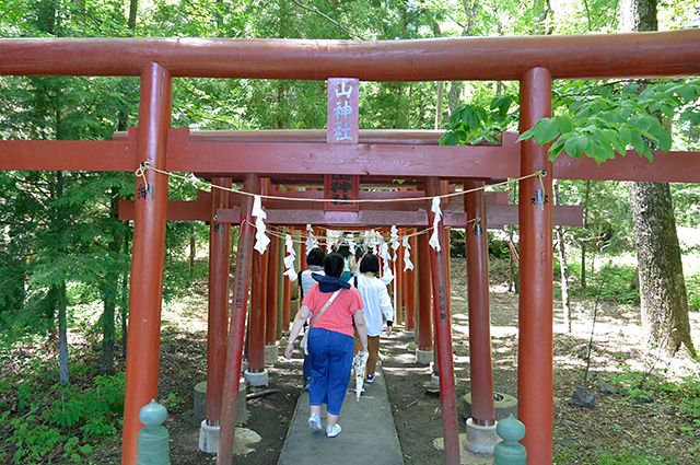 新屋山神社・奉納された鳥居群