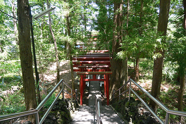 新緑の中の鳥居群