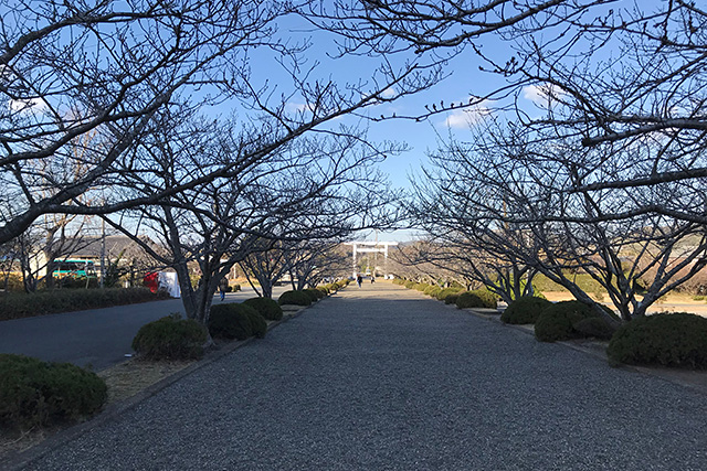 安房神社・参道