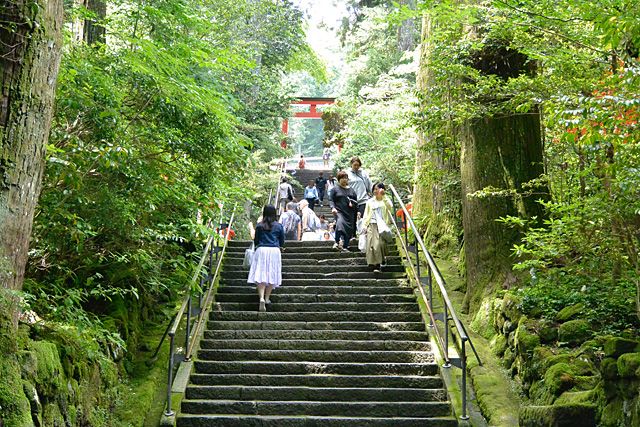 箱根神社の第四鳥居からの坂道