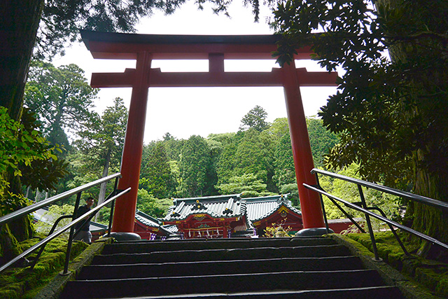 箱根神社の第五鳥居