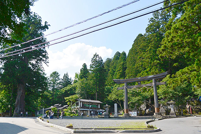 中社のご神木（左）