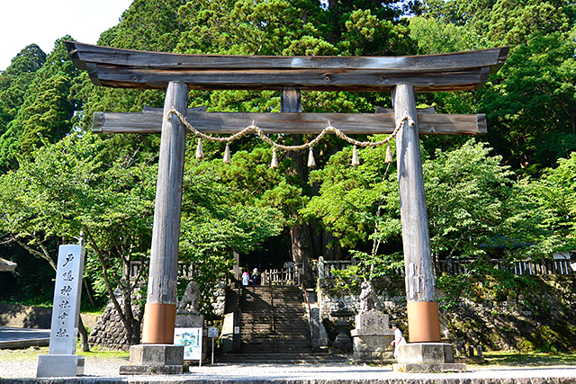 中社の鳥居とご神木