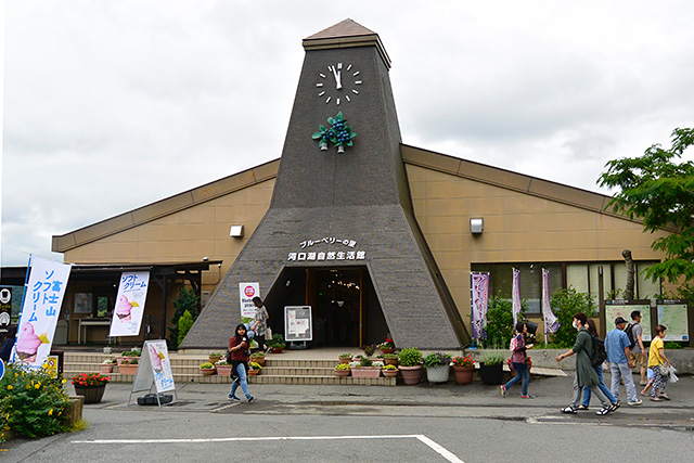 河口湖自然生活館